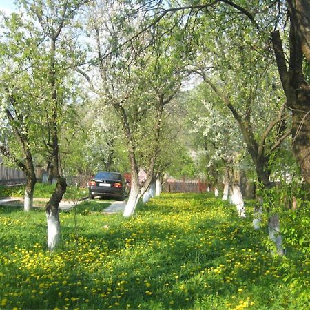 Hotel Casa Sabina Pucioasa Zewnętrze zdjęcie