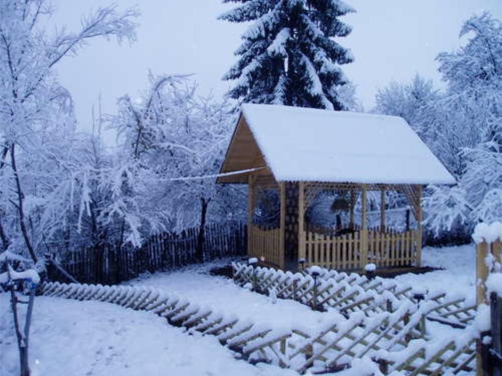 Hotel Casa Sabina Pucioasa Zewnętrze zdjęcie