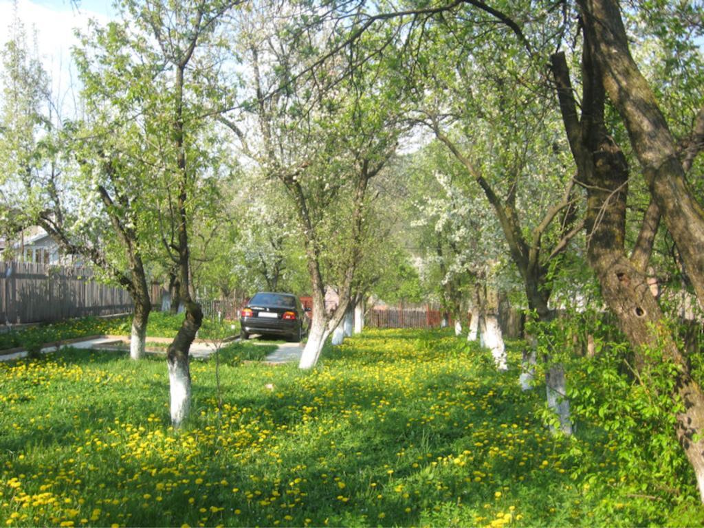 Hotel Casa Sabina Pucioasa Zewnętrze zdjęcie